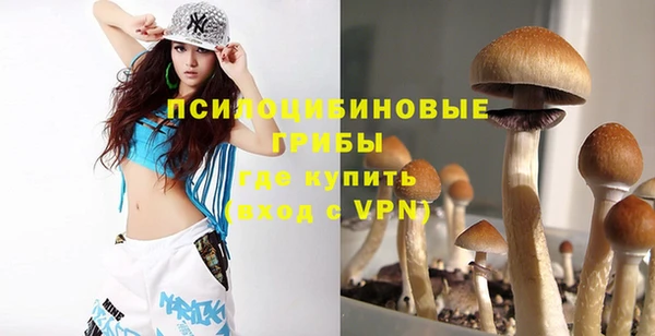 ПСИЛОЦИБИНОВЫЕ ГРИБЫ Вяземский