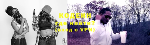 ПСИЛОЦИБИНОВЫЕ ГРИБЫ Вяземский