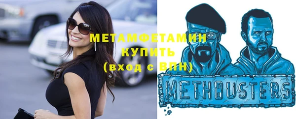 ПСИЛОЦИБИНОВЫЕ ГРИБЫ Вяземский