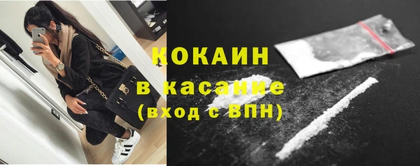 ПСИЛОЦИБИНОВЫЕ ГРИБЫ Вяземский