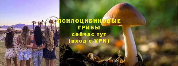 ПСИЛОЦИБИНОВЫЕ ГРИБЫ Вяземский