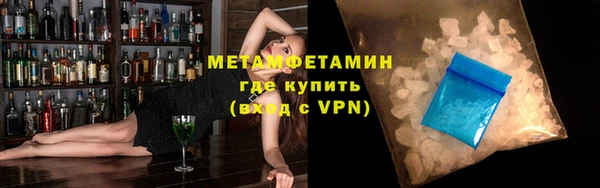 ПСИЛОЦИБИНОВЫЕ ГРИБЫ Вяземский