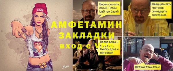 ПСИЛОЦИБИНОВЫЕ ГРИБЫ Вяземский
