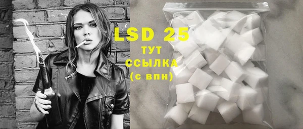 ПСИЛОЦИБИНОВЫЕ ГРИБЫ Вяземский