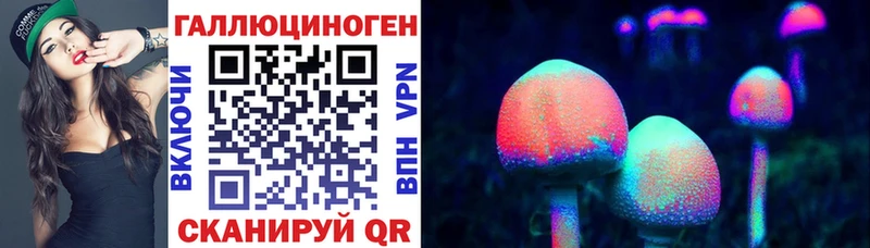 Галлюциногенные грибы GOLDEN TEACHER  где можно купить   Черкесск 